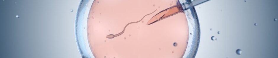 ICSI IVF
